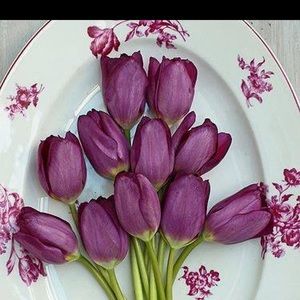 Meet your Posher, Heidi